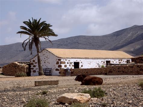 camino cuesta el majorero